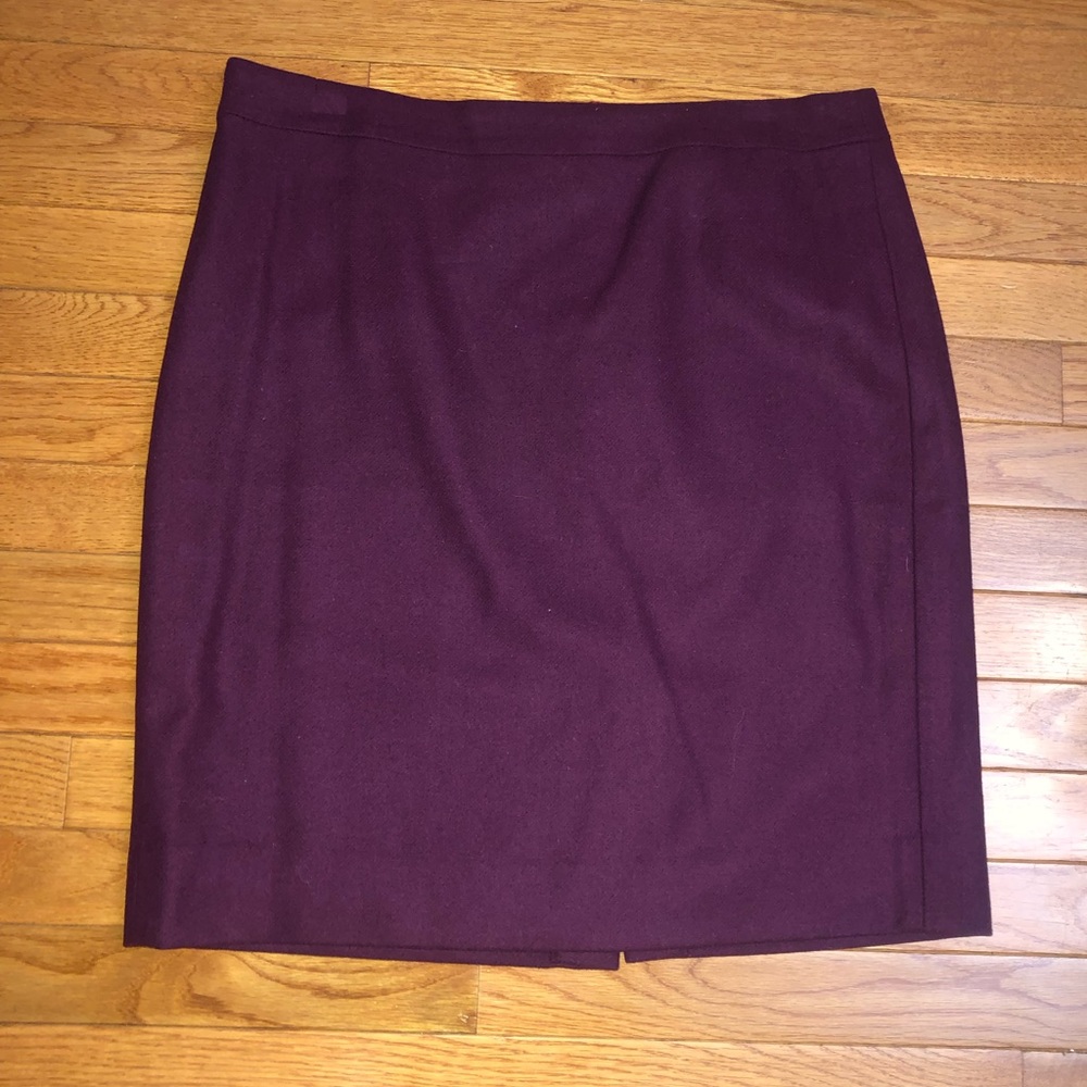 Gorgeous J. Crew Skirt